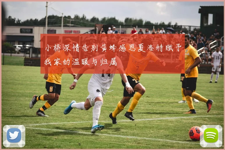 小桥深情告别黄蜂感恩夏洛特赋予我家的温暖与归属